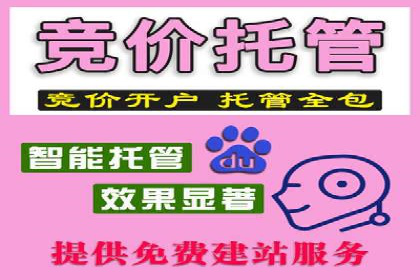 成功案例解析：SEM竞价托管运营策略